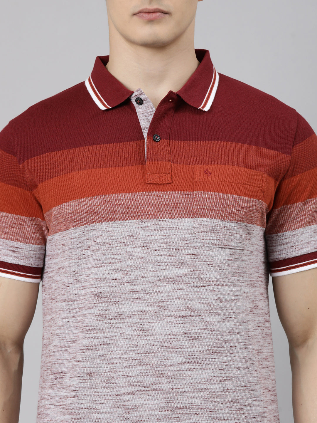 Classic Polo Men's Half Sleeve Multicolor Polo Neck Slim Fit Striped Cotton Blend T-Shirt | LTS-STR - 156 A SF P