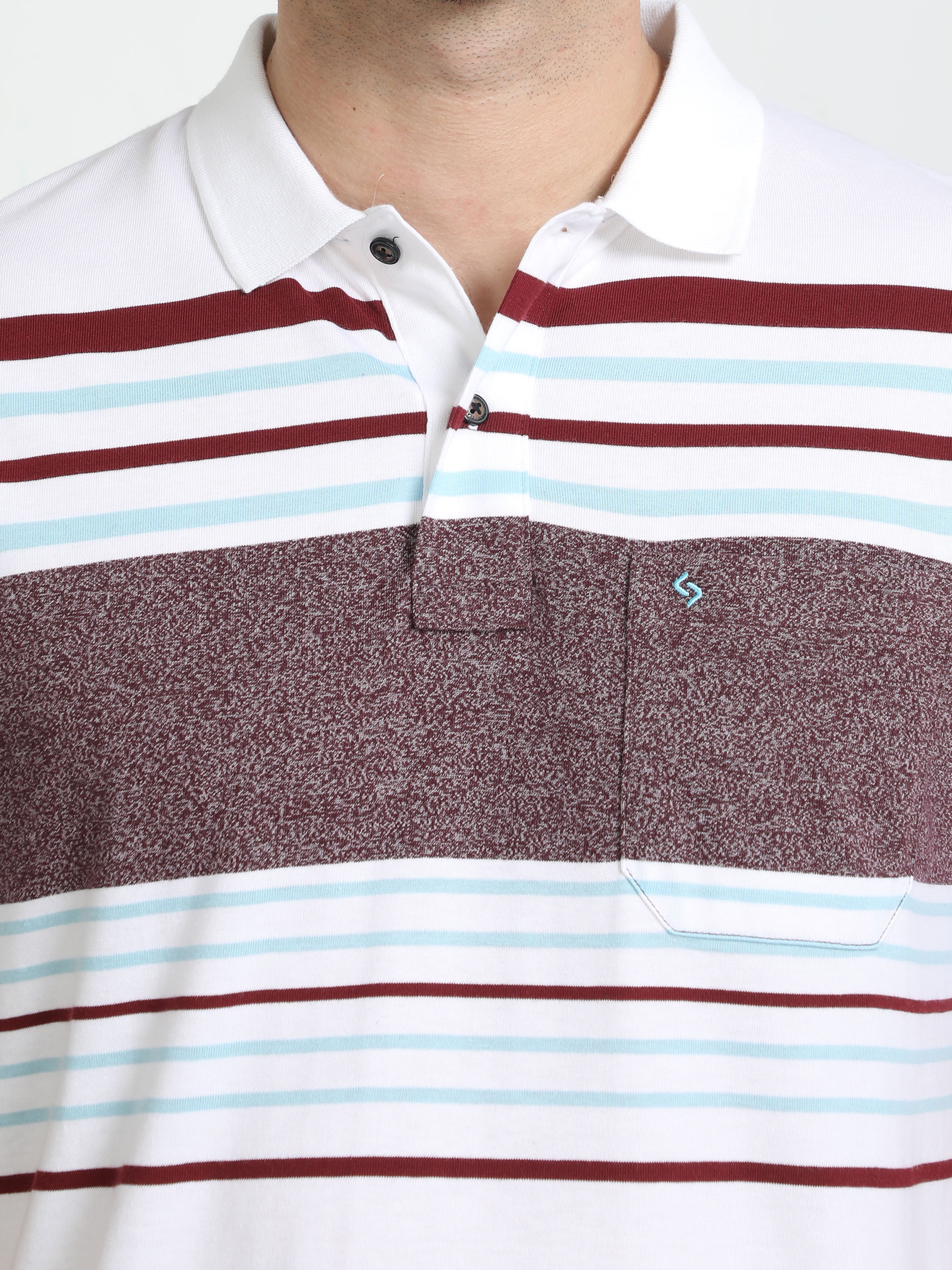 Classic Polo Mens Cotton Half Sleeves Color Blocked Authentic Fit Polo Neck Multi Color T-Shirt | Avon - 548 B Af P