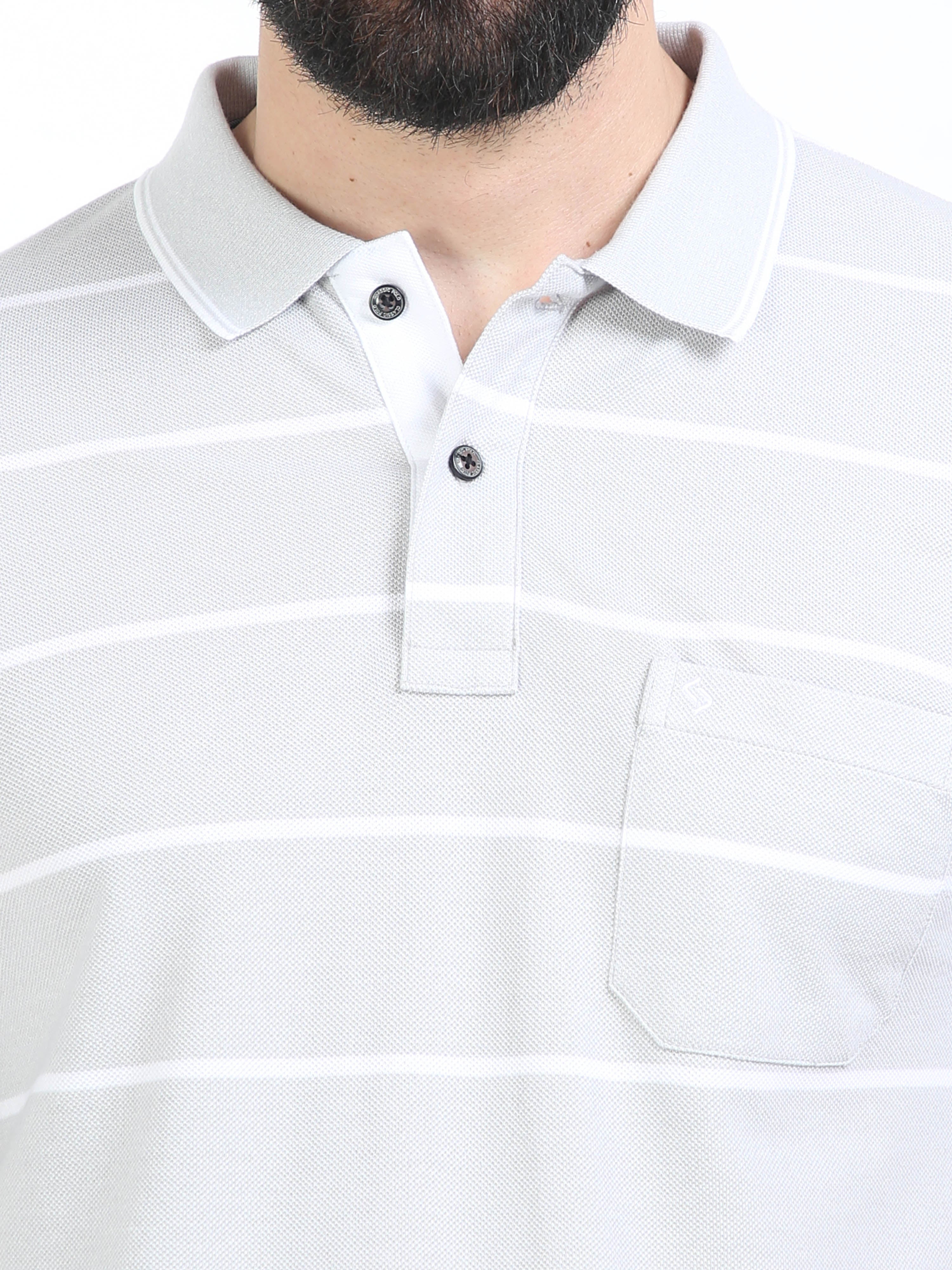 Classic Polo Mens Cotton Half Sleeves Striped Slim Fit Polo Neck Aqua Color T-Shirt | Adore - 210 A Sf P