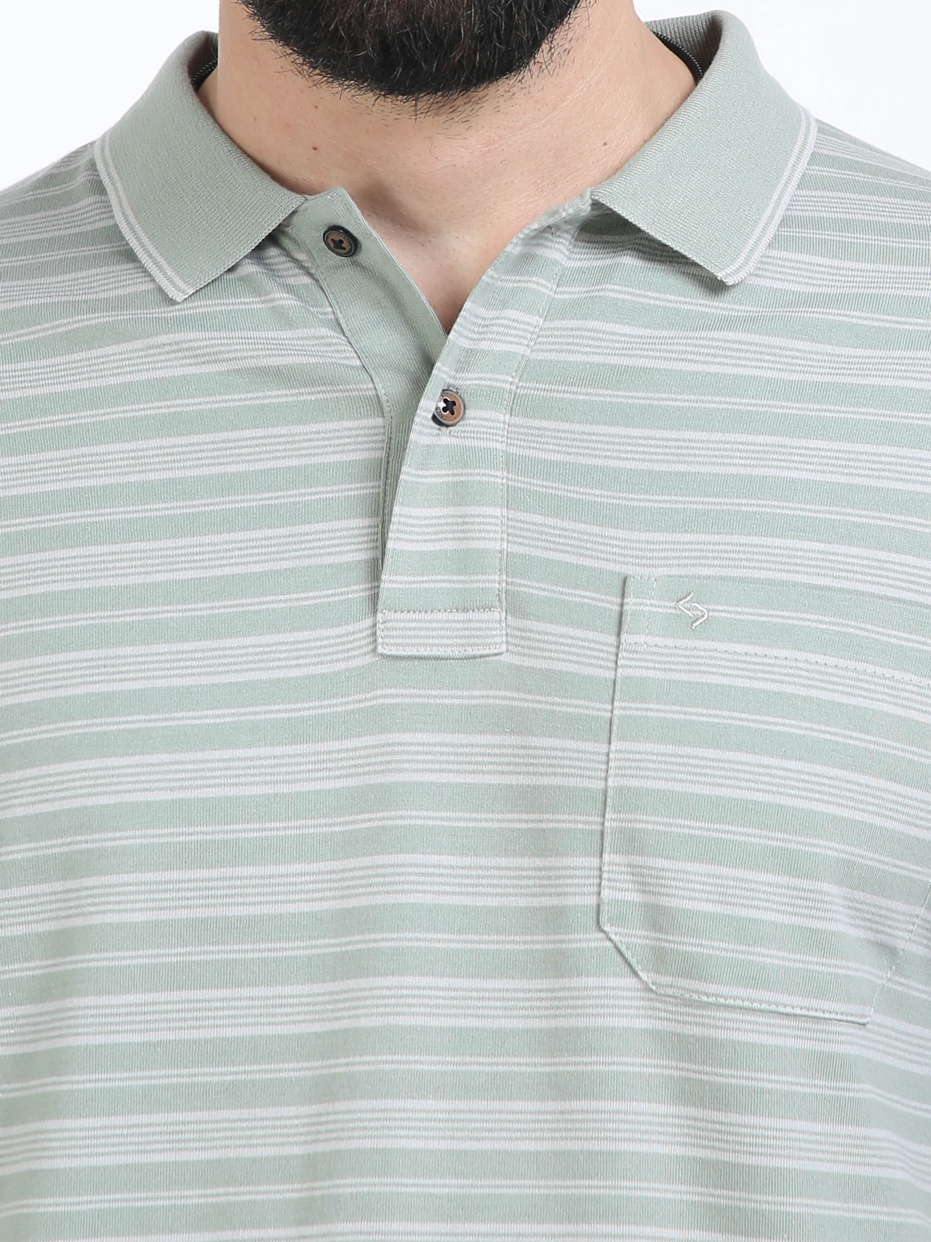 Classic Polo Mens Cotton Half Sleeves Striped Authentic Fit Polo Neck Green Color T-Shirt | Feeders-234 A Af P