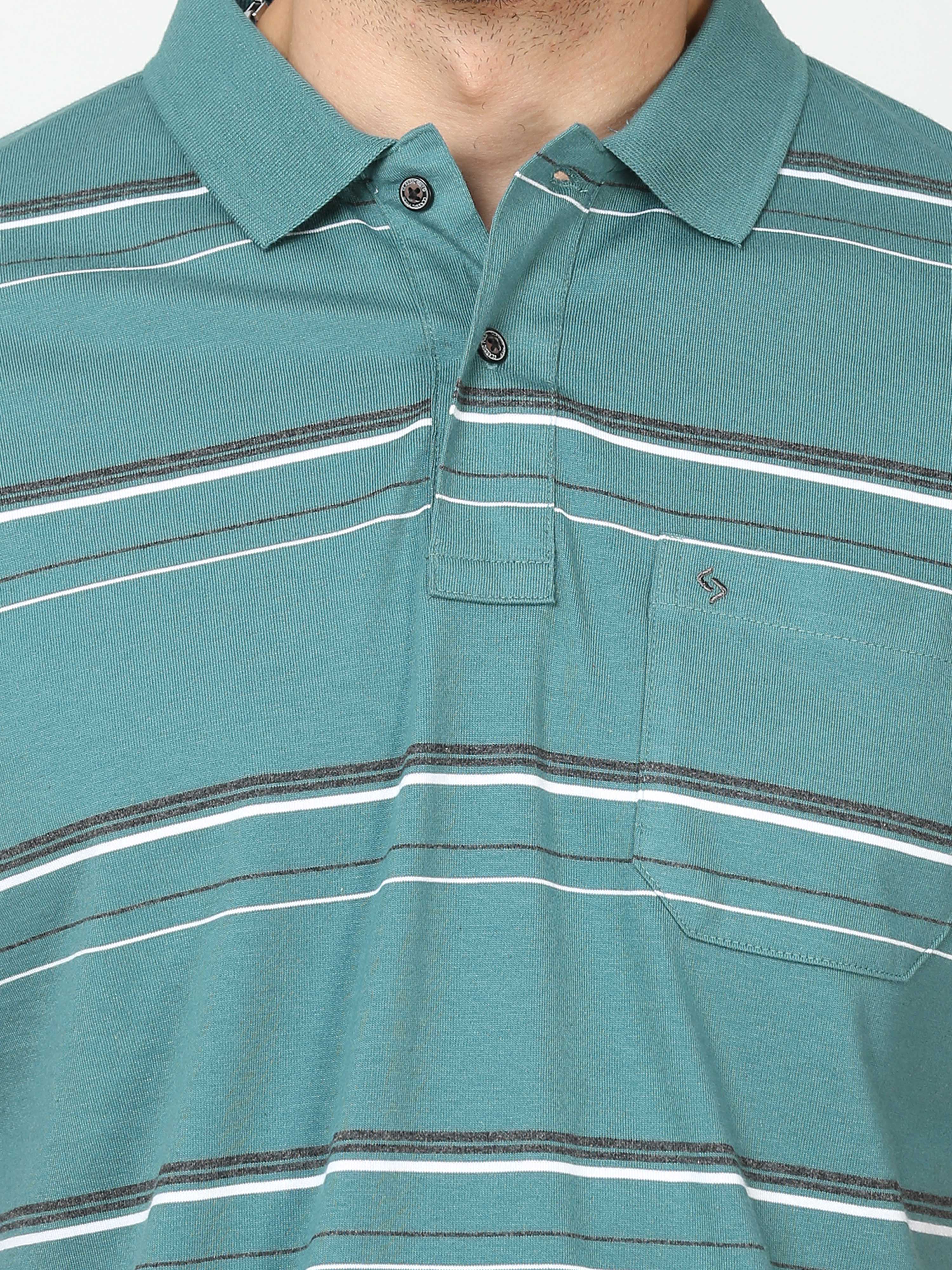 Classic Polo Mens Cotton Half Sleeves Striped Authentic Fit Polo Neck Green Color T-Shirt | Avon - 541 A Af P