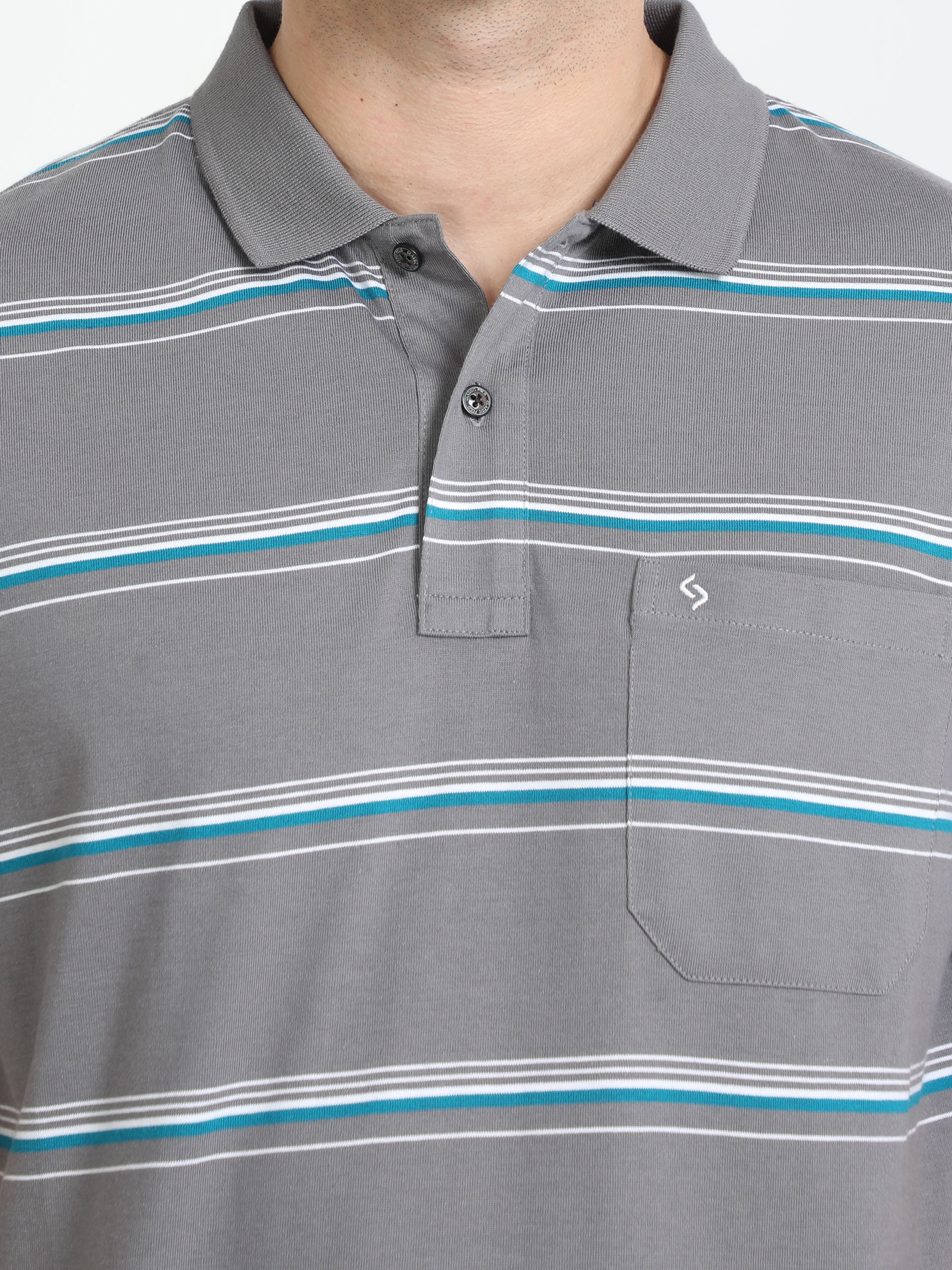 Classic Polo Mens Cotton Half Sleeves Striped Authentic Fit Polo Neck Ash Color T-Shirt | Avon - 538 B Af P