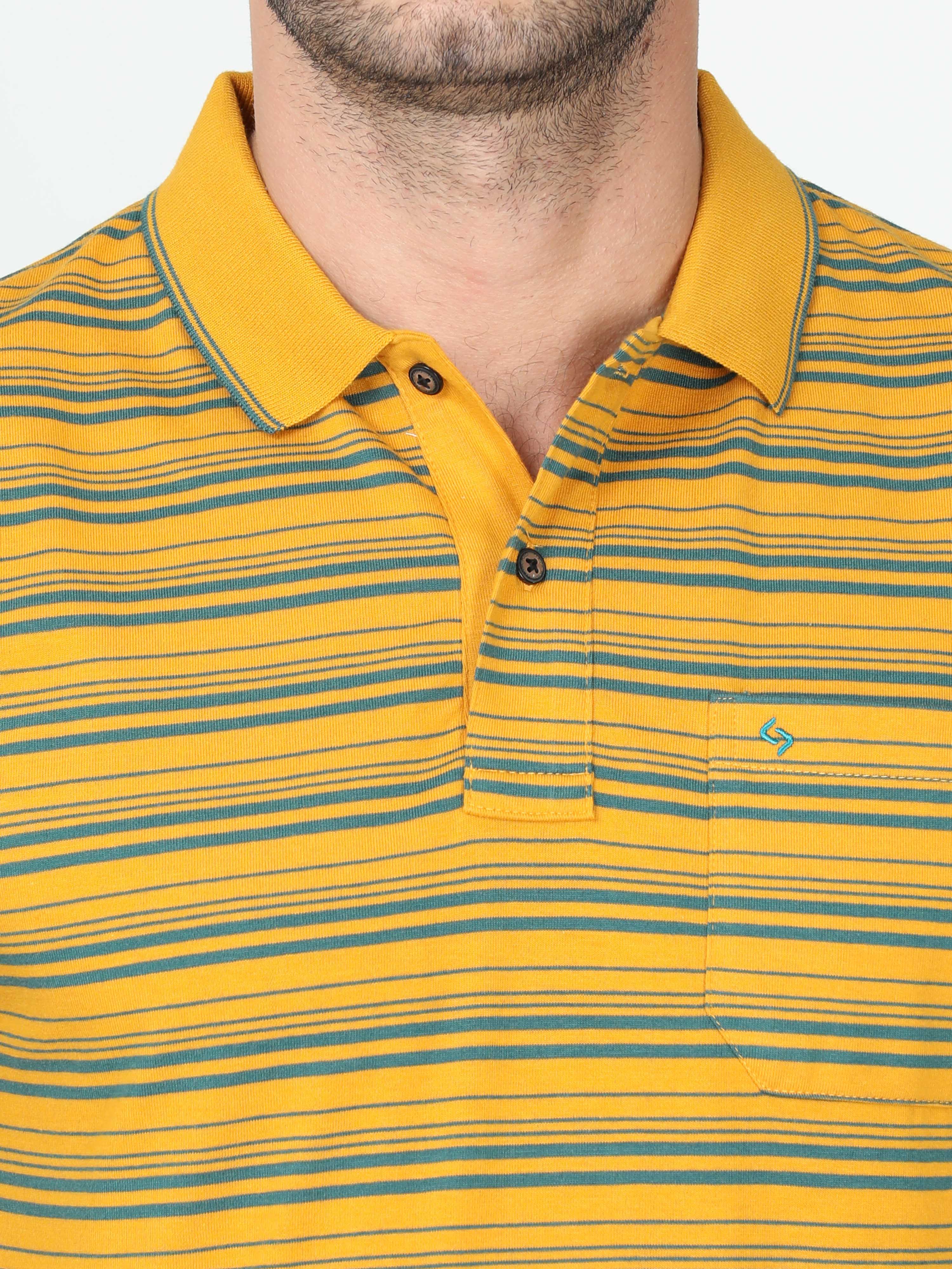 Classic Polo Mens Cotton Half Sleeve Striped Authentic Fit Polo Neck Yellow Color T Shirt | F-Feeders - 109 A