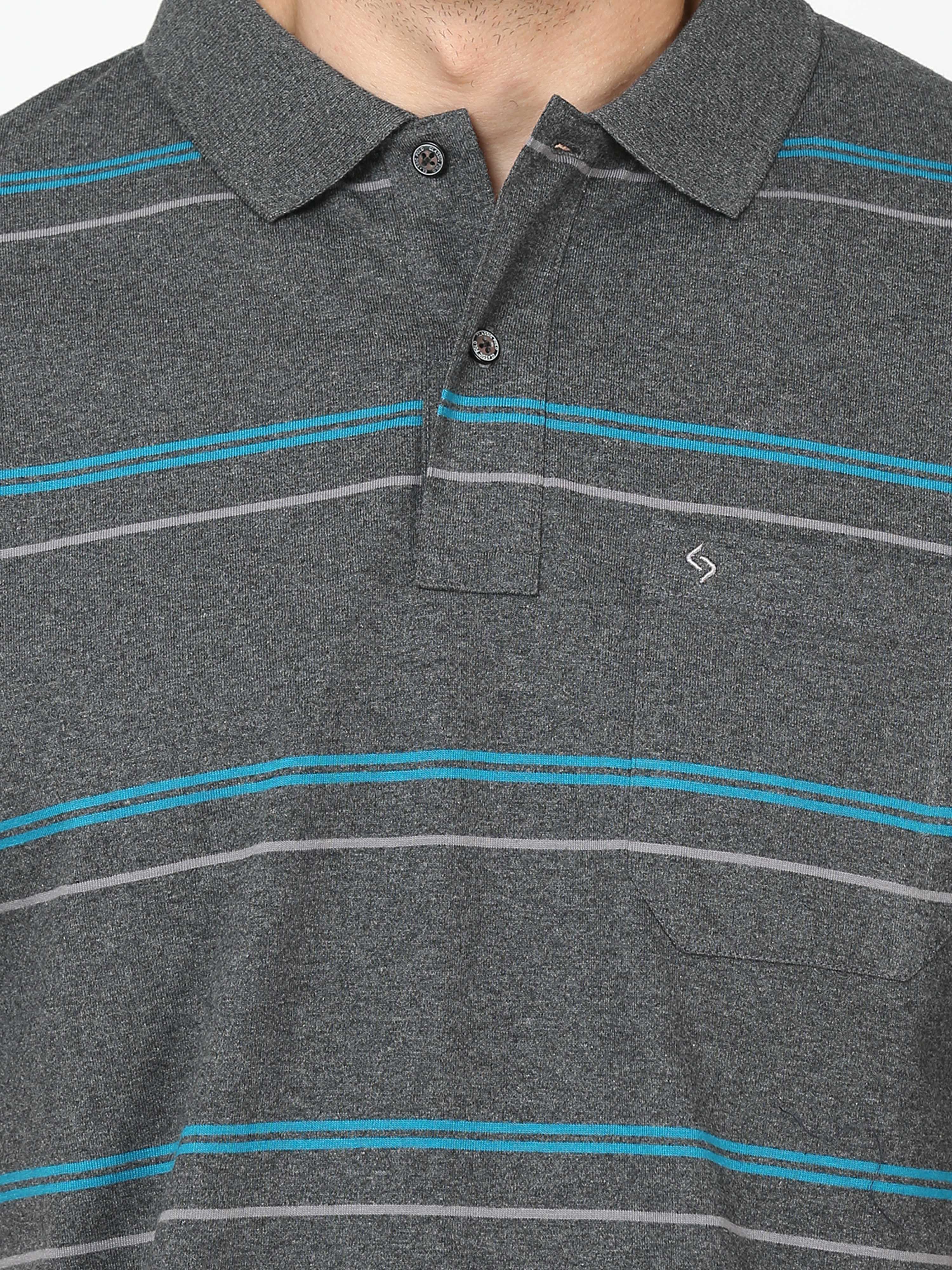 Classic Polo Mens Cotton Half Sleeves Striped Authentic Fit Polo Neck Black Color T-Shirt | Avon - 543 A Af P