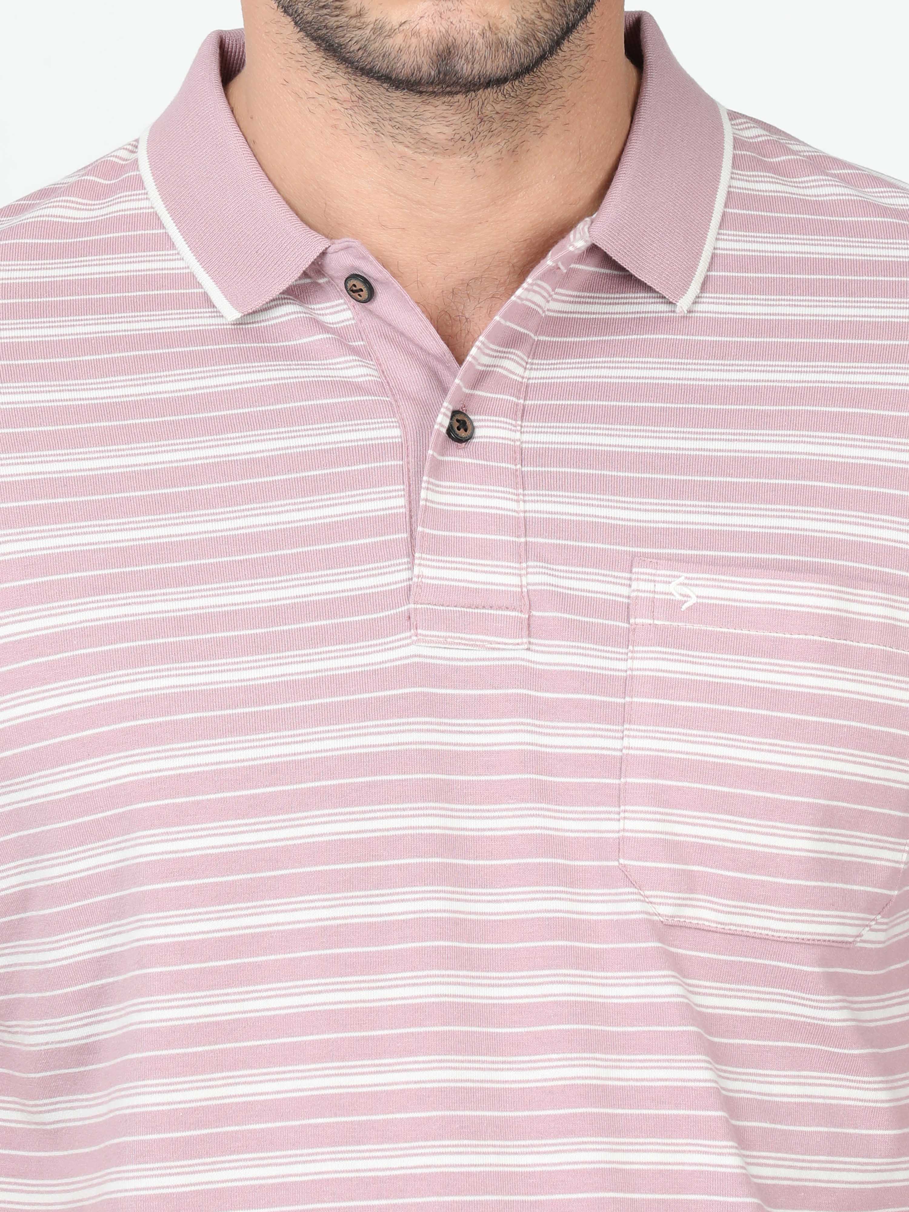 Classic Polo Mens Cotton Half Sleeve Striped Authentic Fit Polo Neck Peach Color T Shirt | F-Feeders - 106 A