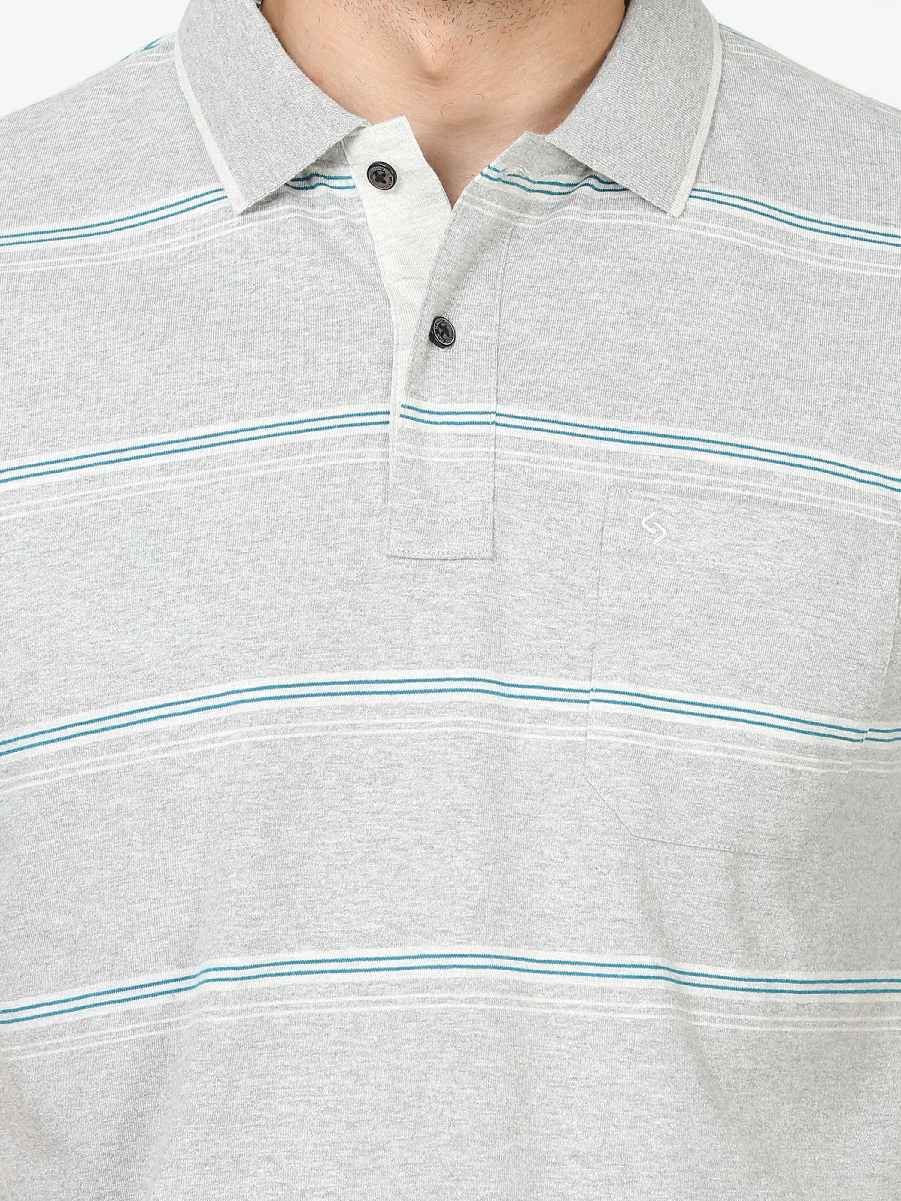 Classic Polo Mens Cotton Half Sleeves Striped Authentic Fit Polo Neck Grey Color T-Shirt | Mel - 238 B Af P