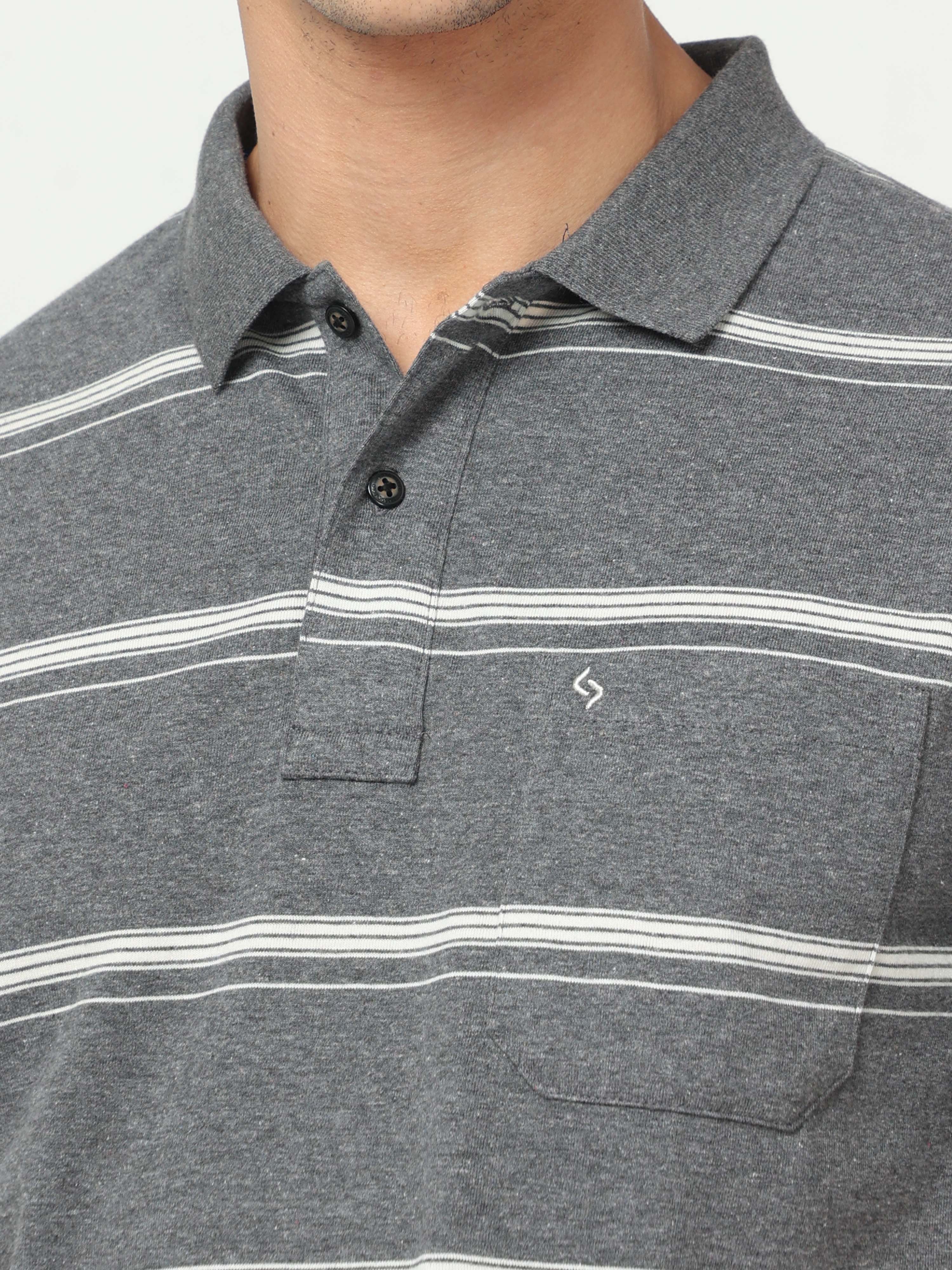 Classic Polo Mens Pure Cotton Half Sleeve Striped Regular Fit Polo Neck Grey Color T Shirt | F-Avon - 107 B