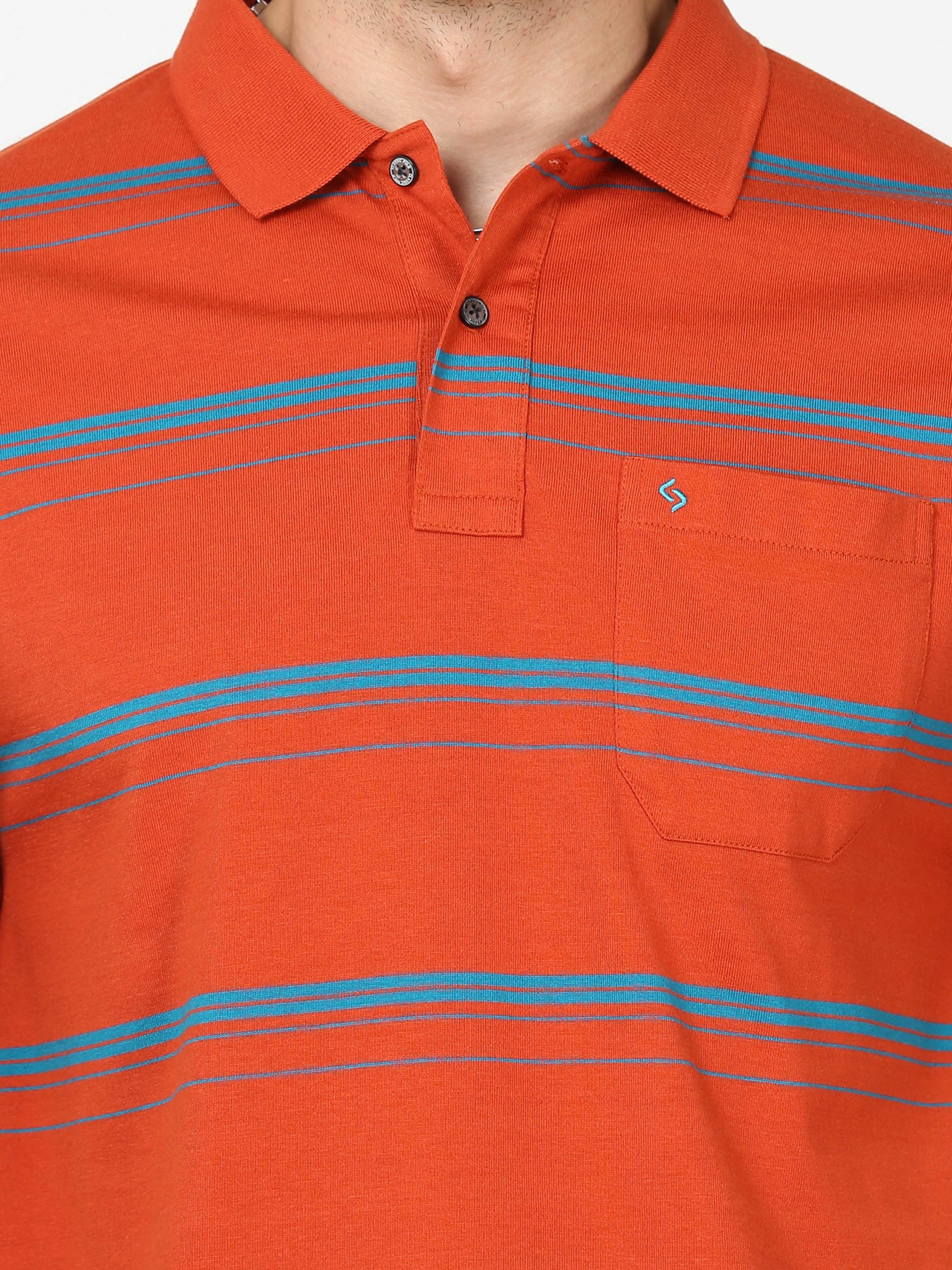 Classic Polo Mens Cotton Half Sleeves Striped Authentic Fit Polo Neck Red Color T-Shirt | Avon - 539 B Af P