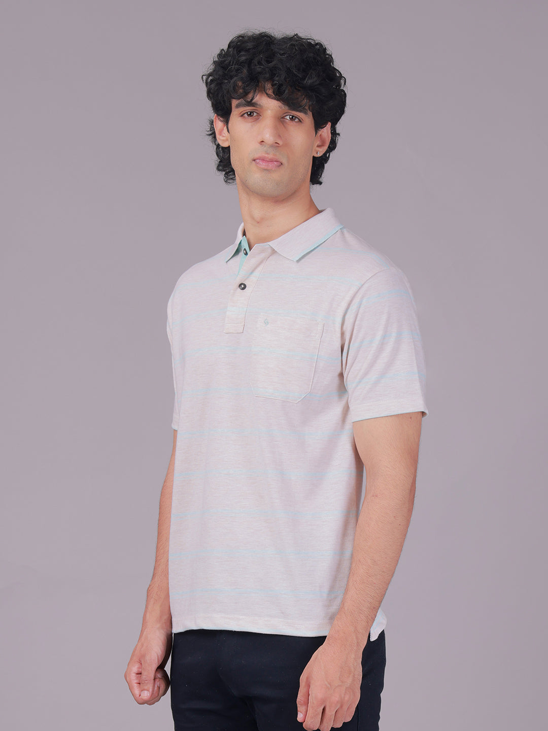 Classic Polo Men's Half Sleeve Grey/Green Polo Neck Authentic Fit Striped Cotton Blend T-Shirt | MEL - 281 A AF P
