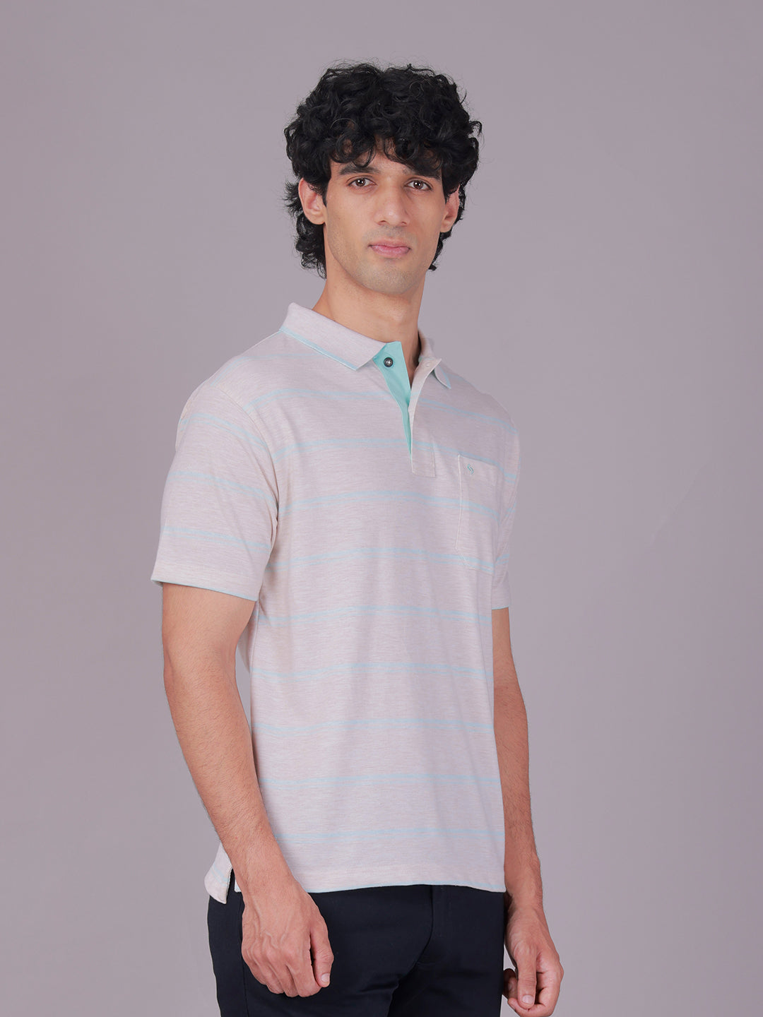 Classic Polo Men's Half Sleeve Grey/Green Polo Neck Authentic Fit Striped Cotton Blend T-Shirt | MEL - 281 A AF P