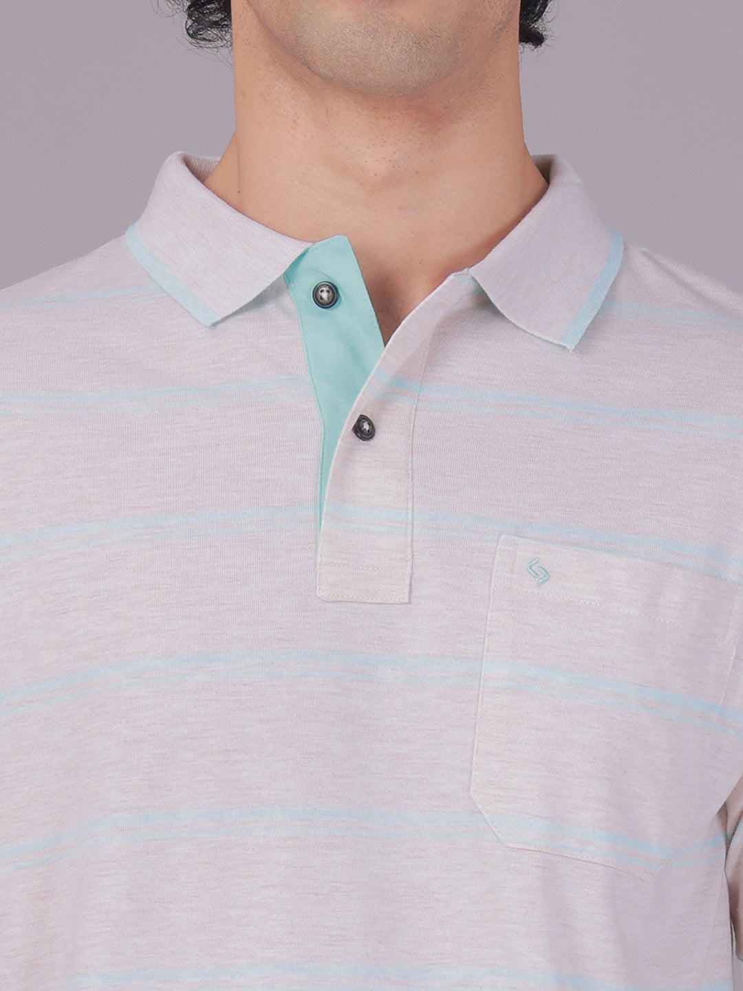Classic Polo Men's Half Sleeve Grey/Green Polo Neck Authentic Fit Striped Cotton Blend T-Shirt | MEL - 281 A AF P