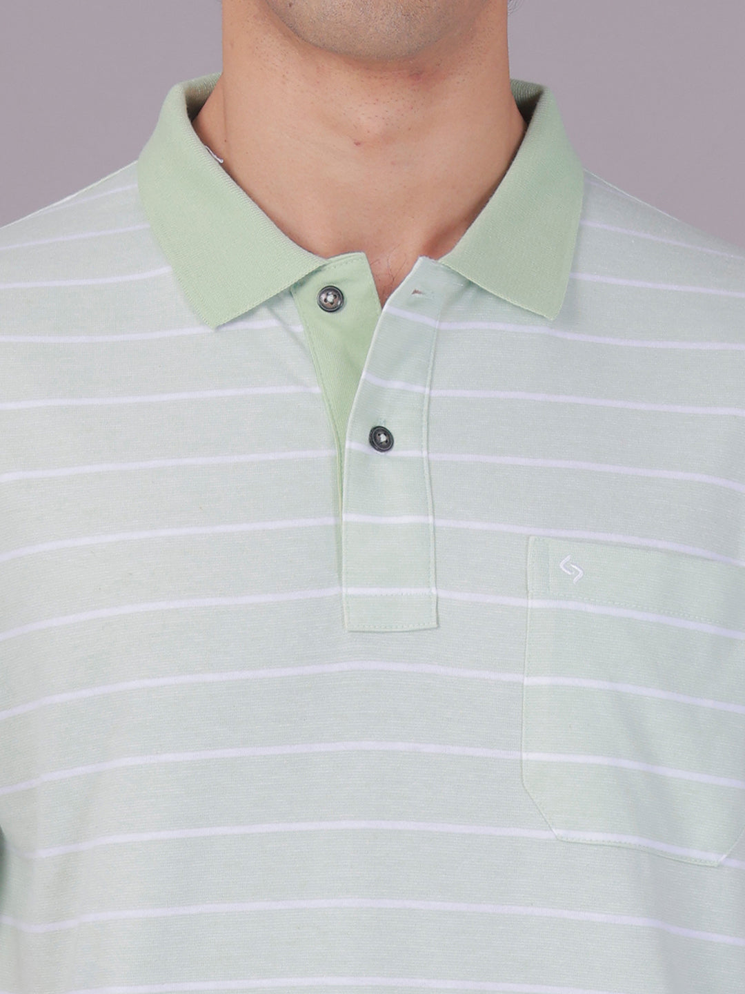 Classic Polo Men's Half Sleeve Green/White Polo Neck Authentic Fit Striped Cotton Blend T-Shirt | AVON - 662 B AF P