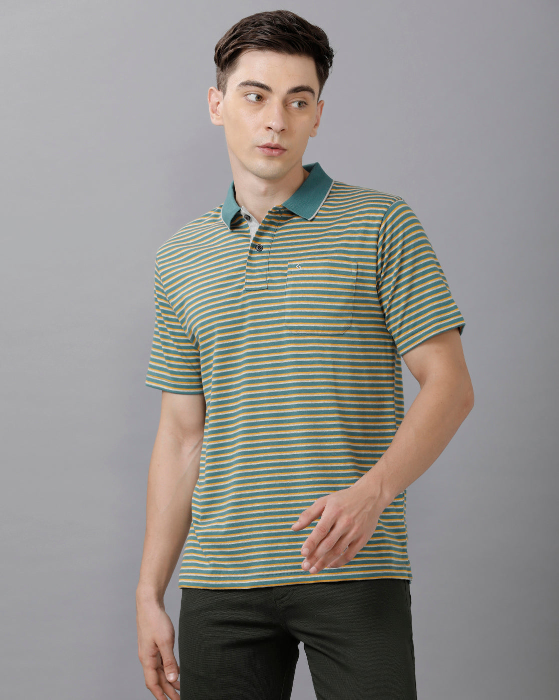 Classic Polo Mens Cotton Striped Half Sleeve Authentic Fit Polo Neck Green Color T-Shirt | Feeders 203 B