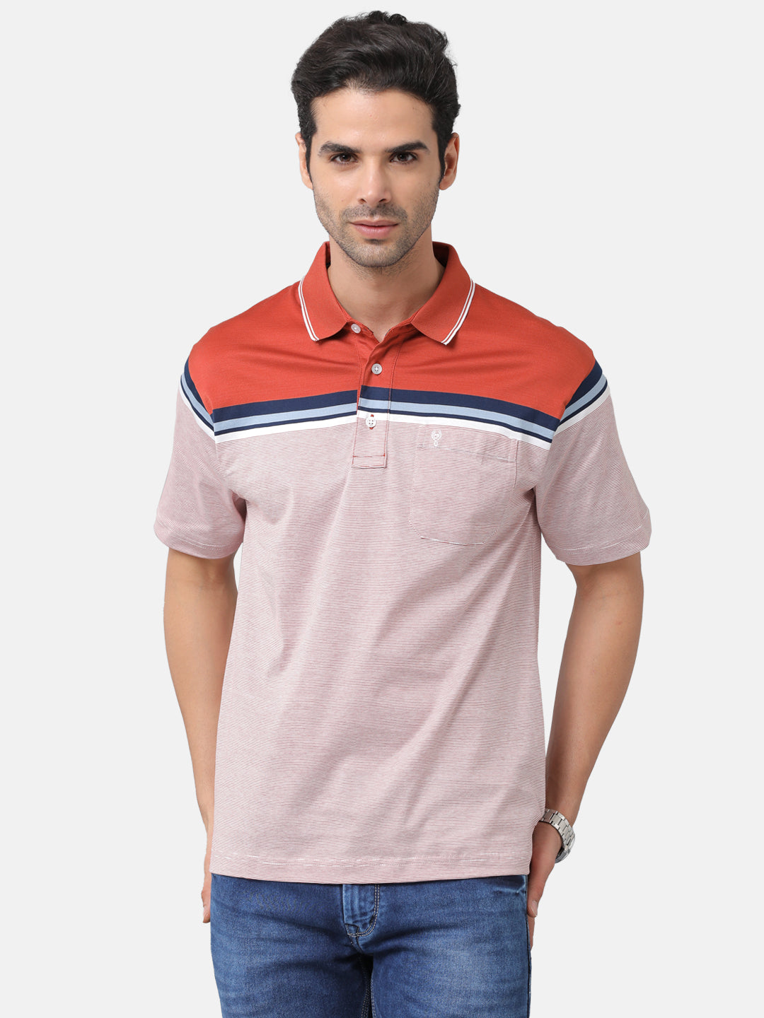 Classic Polo Mens Cotton Striped Authentic Fit Polo Neck Multicolor T-Shirt | Ultimo 274a