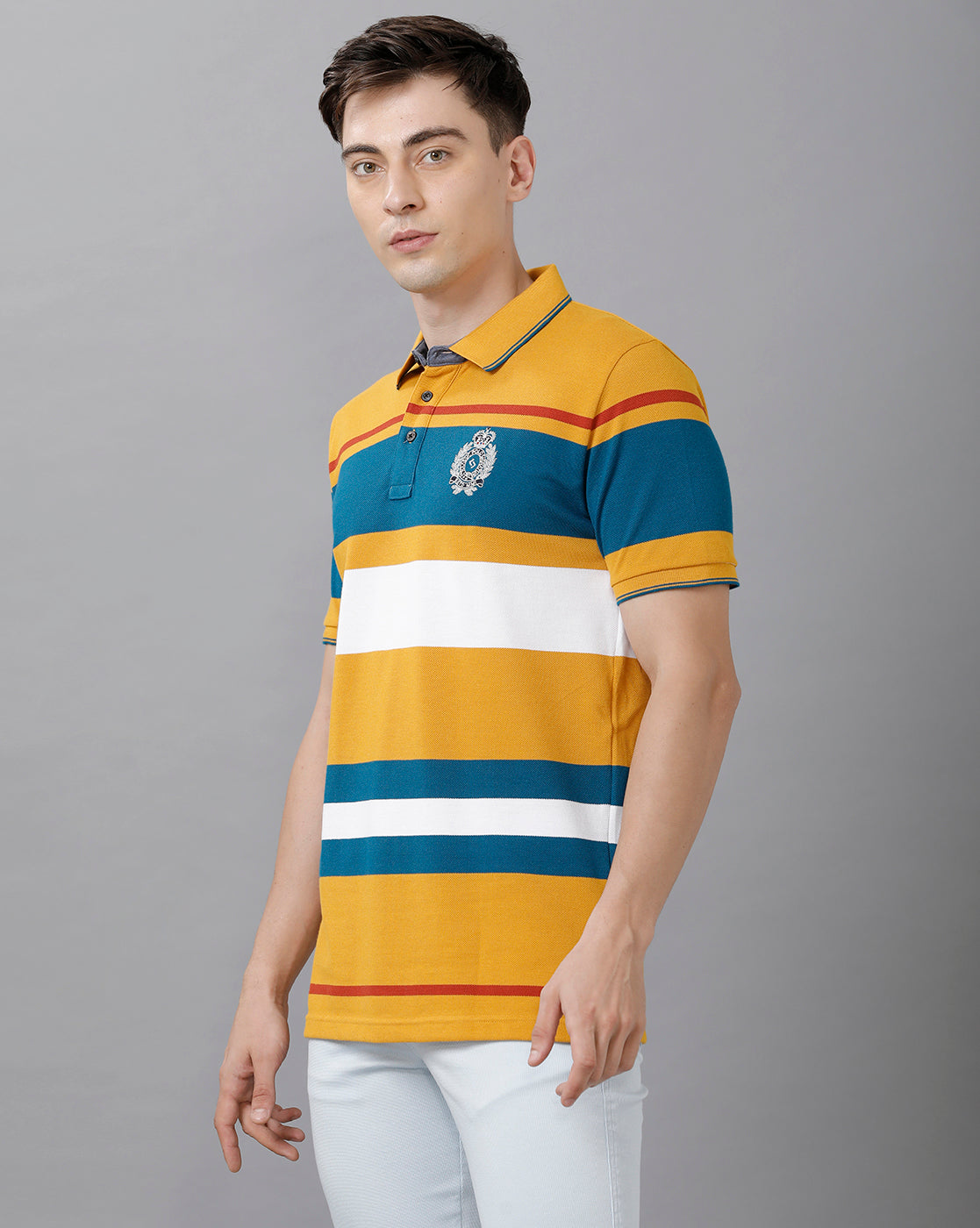 Classic Polo Men's Cotton Blend Striped Half Sleeve Slim Fit Polo Neck Multicolor T-Shirt | HS-VTA - 01 A