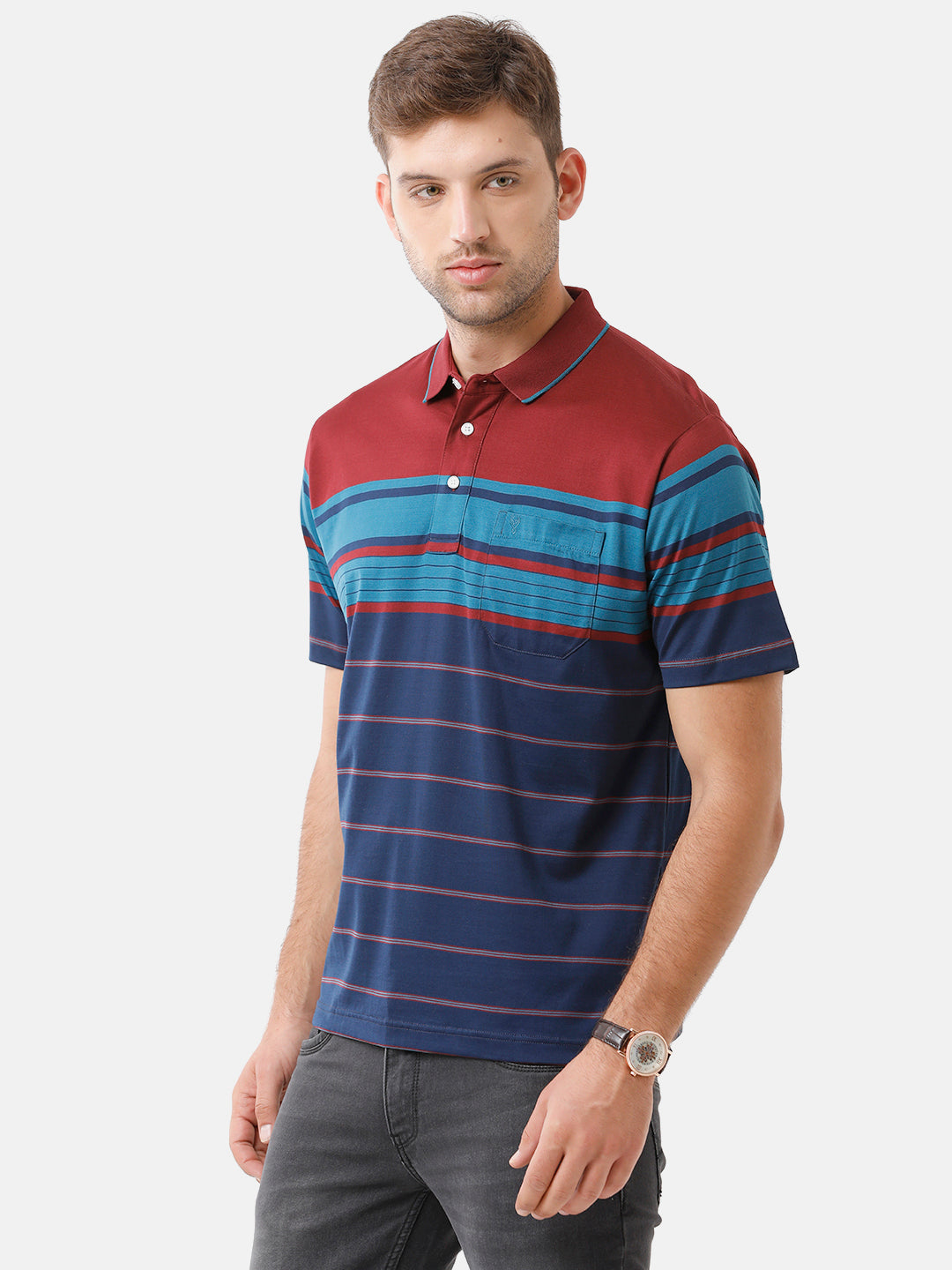 Classic Polo Mens Cotton Striped Half Sleeve Authentic Fit Polo Neck Multicolor T-Shirt | Ultimo 280 A