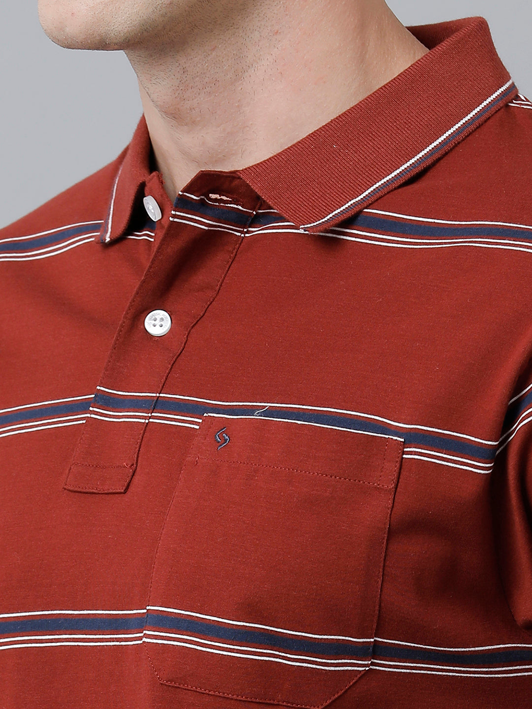 Classic Polo Men's Cotton Half Sleeve Striped Authentic Fit Polo Neck Red Color T-Shirt | Ap - 90 A