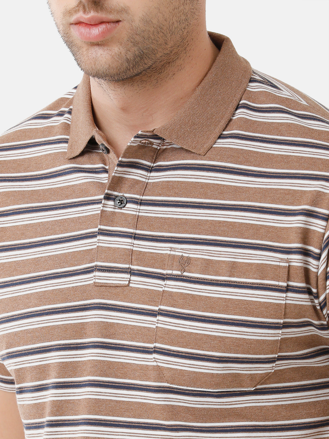 Classic Polo Mens Cotton Half Sleeve Striped Authentic Fit Polo Neck Brown Color T-Shirt | M.Flash 23