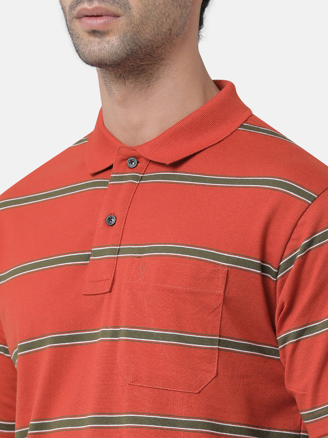 Classic Polo Mens Cotton Blend Striped Authentic Fit Polo Neck Red Color T-Shirt | Avon 482b