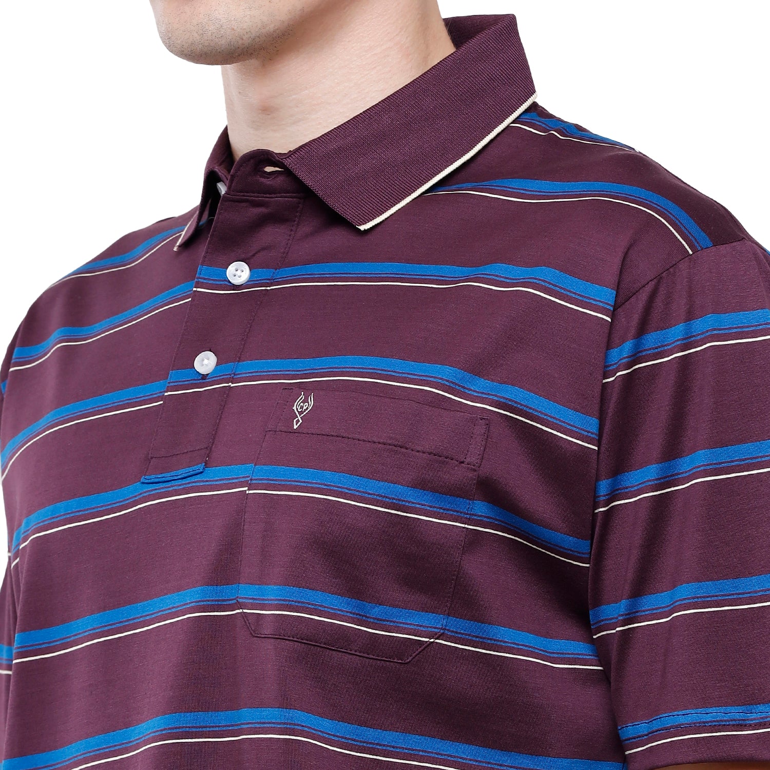 Classic Polo Mens Stripes Half Sleeve Authentic Fit T-Shirt (ULTIMO - 259 B AF P) T-shirt Classic Polo 