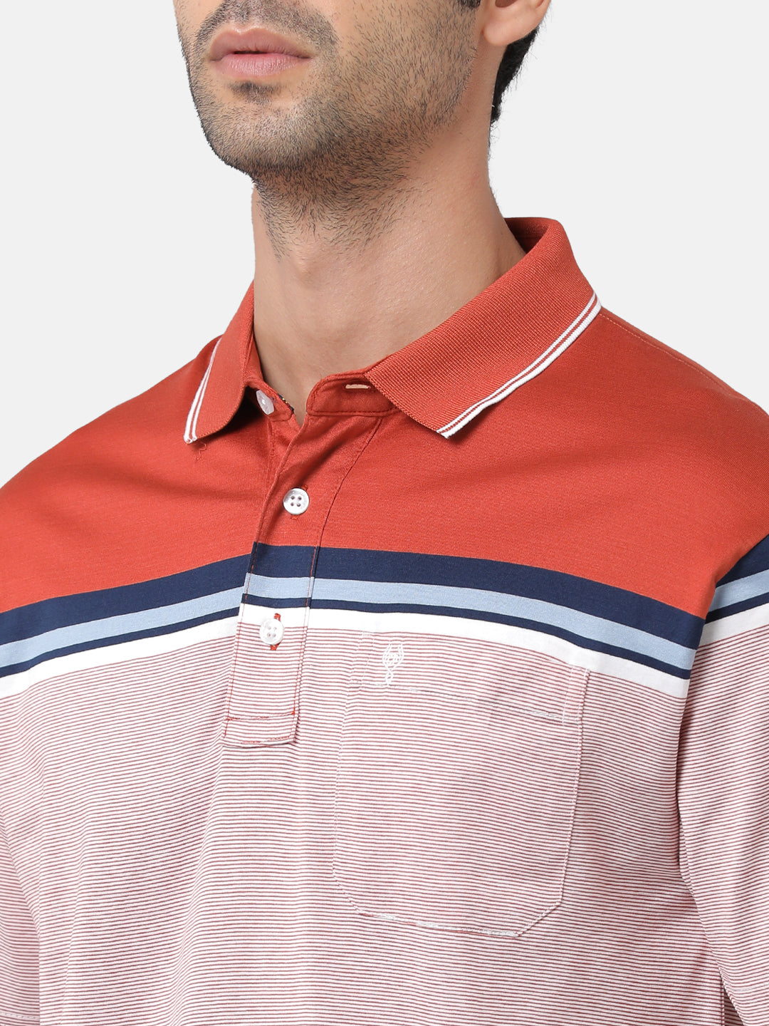 Classic Polo Mens Cotton Striped Authentic Fit Polo Neck Multicolor T-Shirt | Ultimo 274a