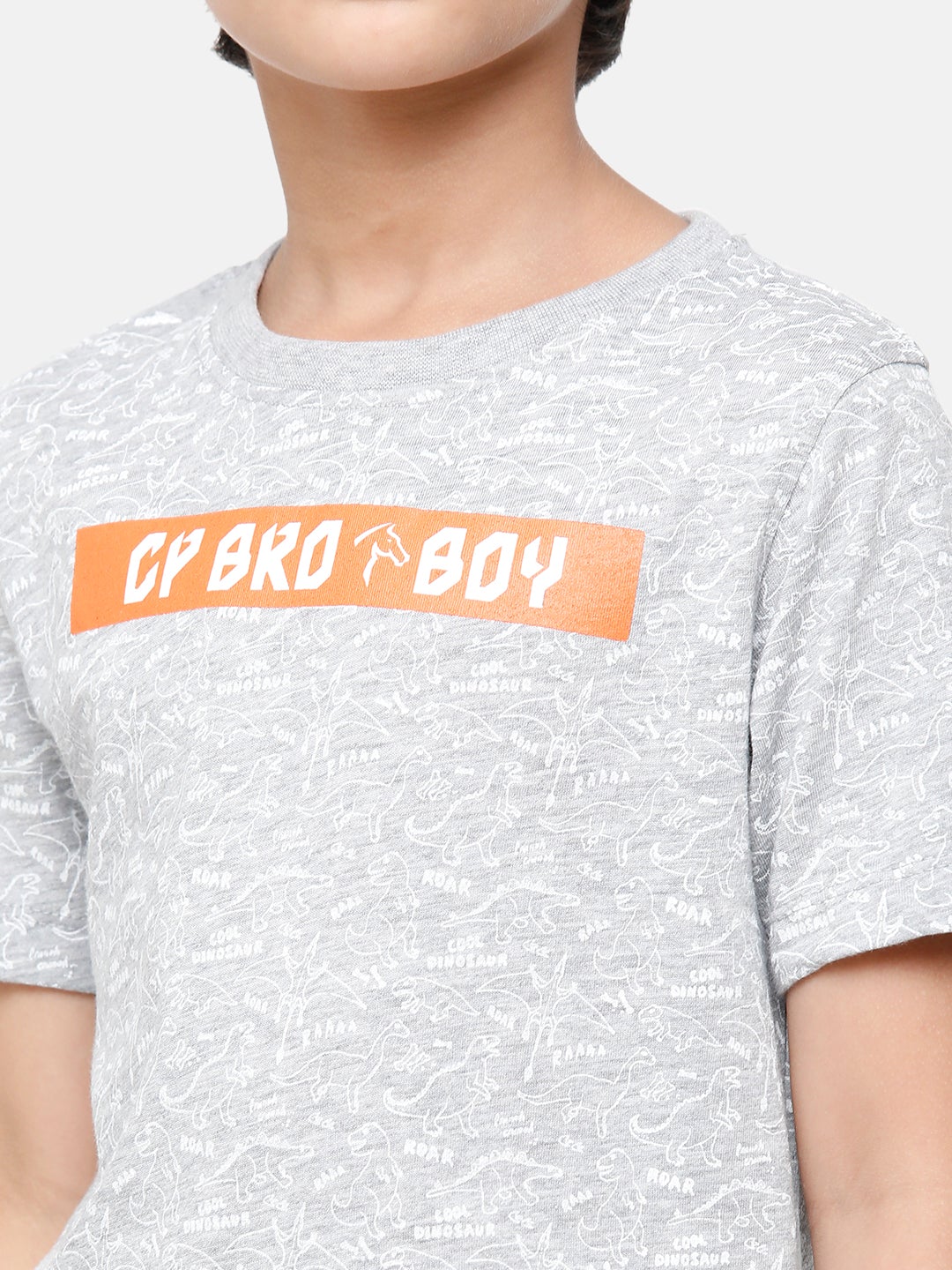 CP Boys Grey Blend Printed Slim Fit Round Neck T-Shirt T-shirt Classic Polo 