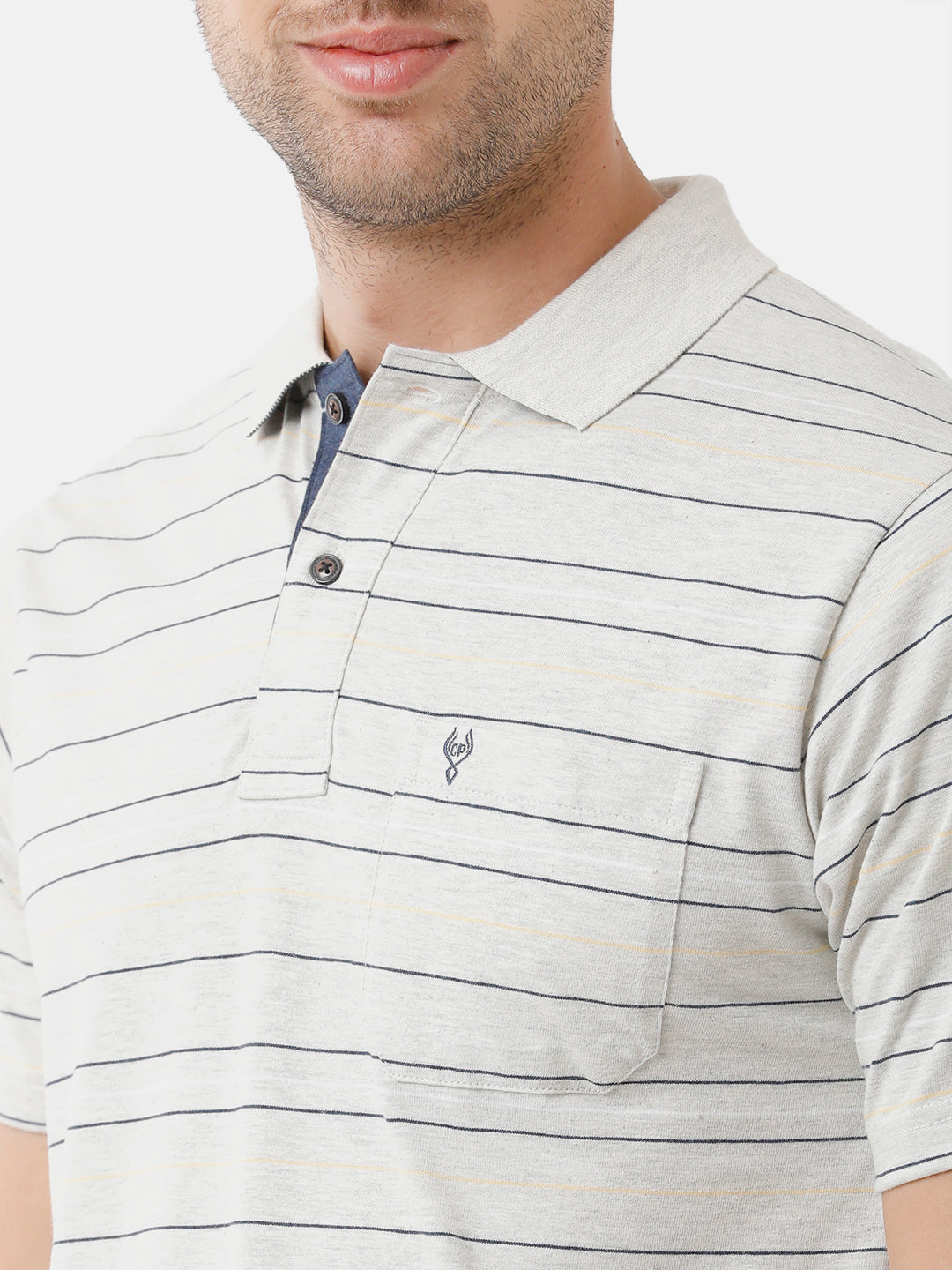 Classic Polo Mens Cotton Half Sleeve Striped Authentic Fit Polo Neck Multicolor T-Shirt | M.Flash 20