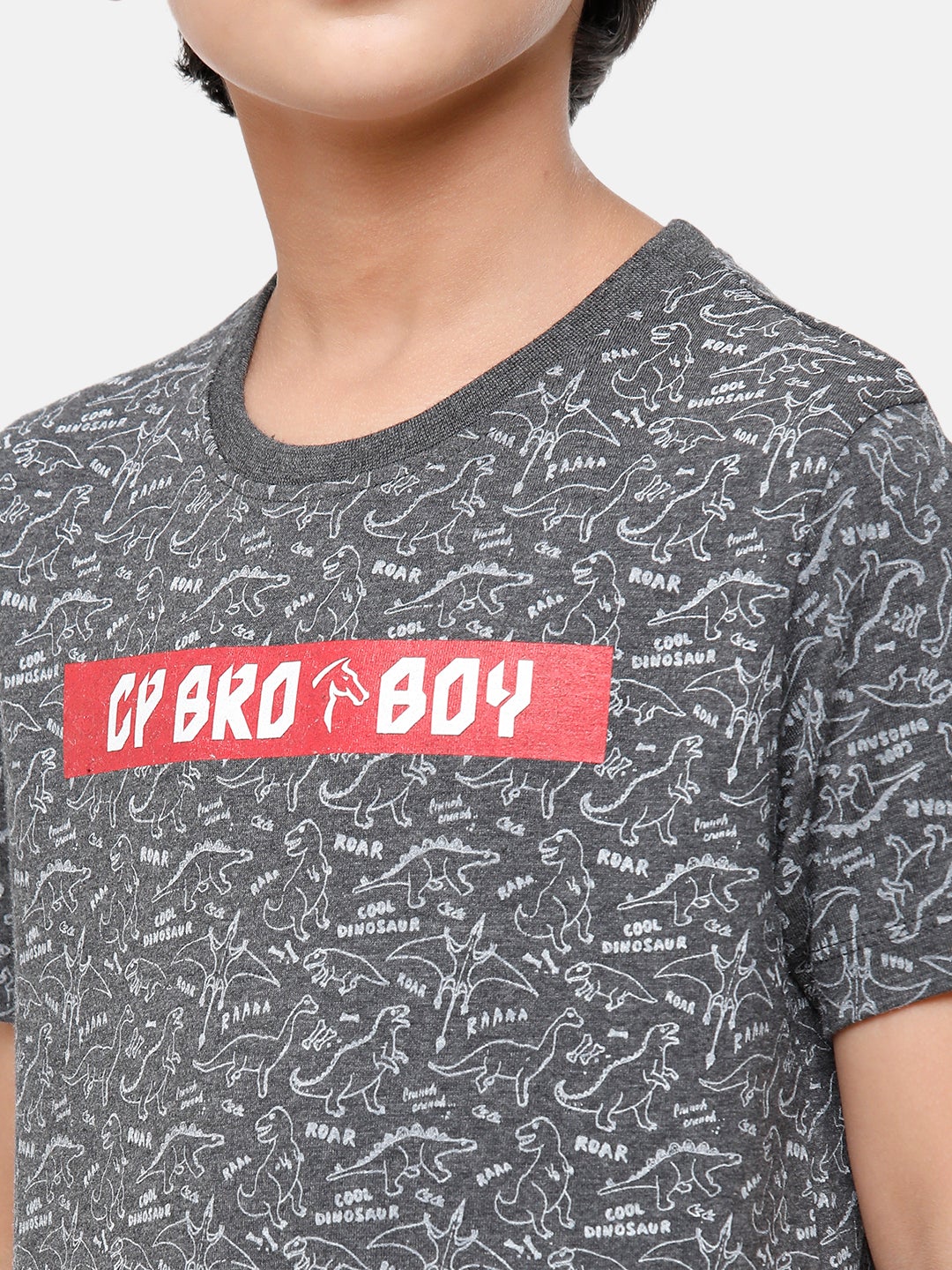 CP Boys Poly Printed Slim Fit Green Round Neck T-Shirt T-shirt Classic Polo 