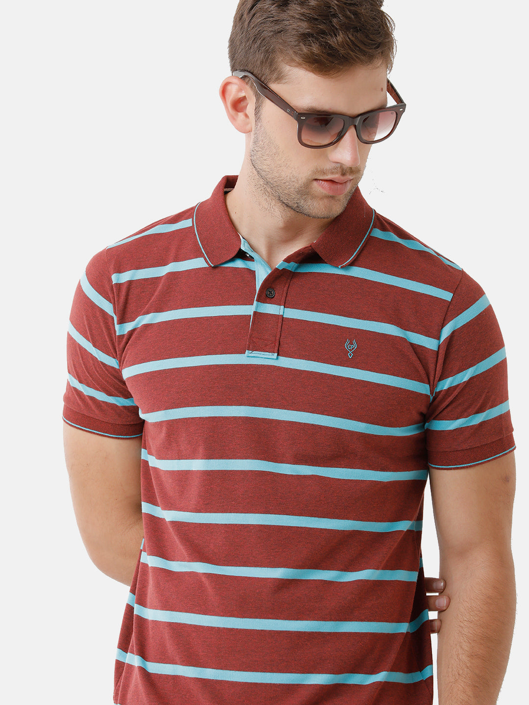 Classic Polo Mens Cotton Striped Half Sleeve Slim Fit Polo Neck Maroon Color T-Shirt | Cpeg 273 B