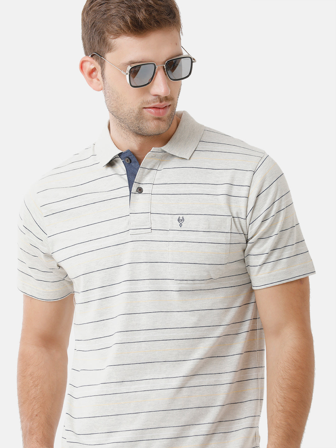 Classic Polo Mens Cotton Half Sleeve Striped Authentic Fit Polo Neck Multicolor T-Shirt | M.Flash 20